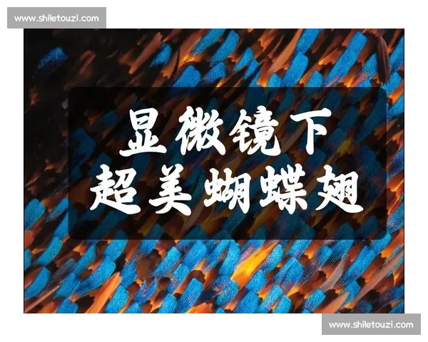 宁波网赛 “格莱美慢镜”:每一帧都是视觉盛宴 宁波网赛 “格莱美慢镜”:每一帧都是视觉盛宴